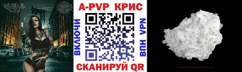 A PVP СК КРИС Ростов
