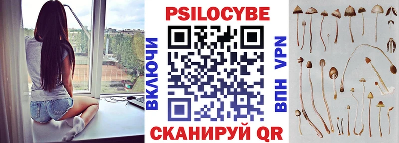 Галлюциногенные грибы Psilocybine cubensis  Ростов 