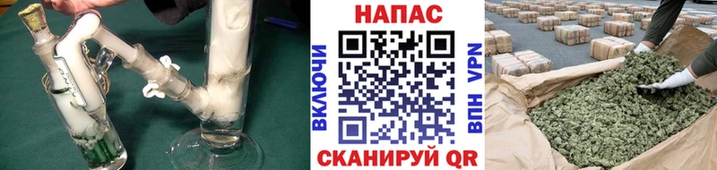 Шишки марихуана гибрид  Ростов 